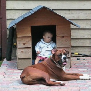 Hay - Who is in my house?