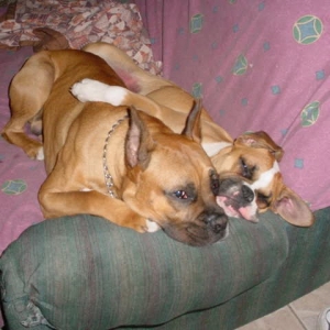 Nani and her Boyfriend
