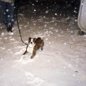 Lovin the snow!