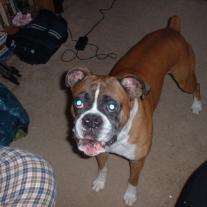 Who's got a treat?