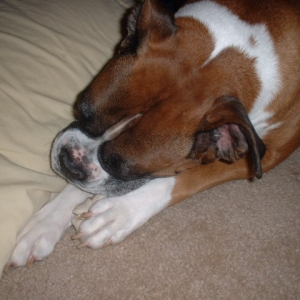 A new bone!