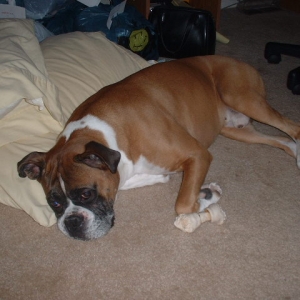 I like mommy's pillows best!