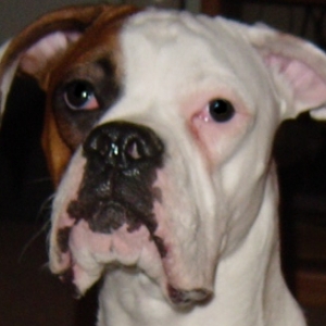 Buger Face