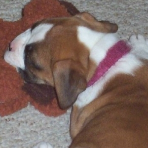 sleeping quietly