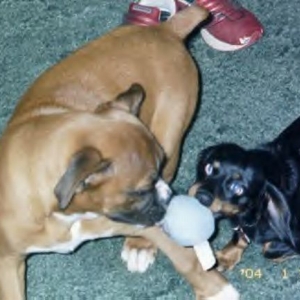 Rocky & Keyla