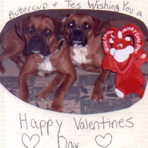 Happy V-DAY