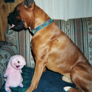 Jack and Rufus