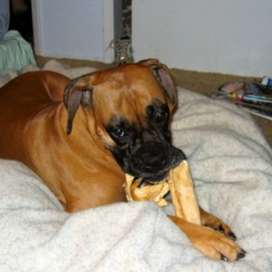 Enjoying new bed :)