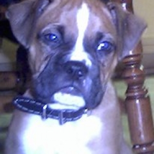 Aint I Tha Cutest?