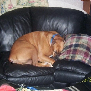 Sleeping Soundly