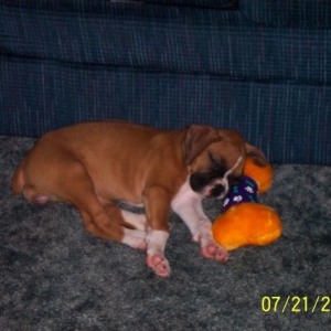 sleeping2