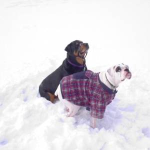 Come on give us the treats!
