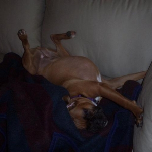 Comfy???