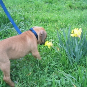 Sniffin The Flowers