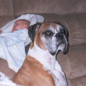 Mugsy Guarding Baby