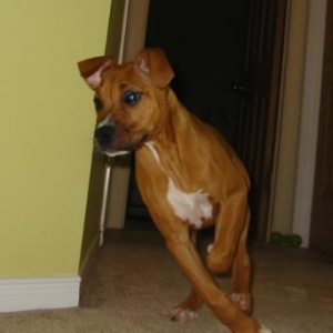 did someone just say supper...WAIT!! i'm on my way