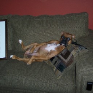 Can't a girl get some sleep around here?