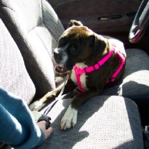 Sadie