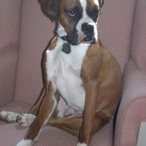 Sitting pretty