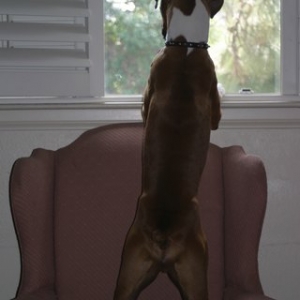 Can I go out to play?