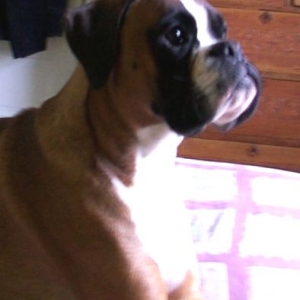 Igor 15 months