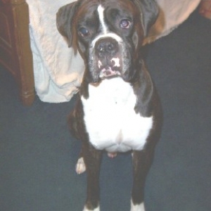 Thor