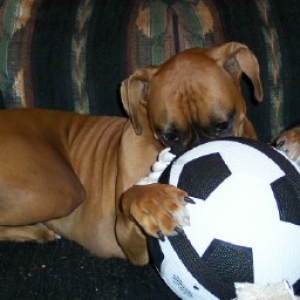 My ball