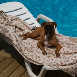 lounging in the sun