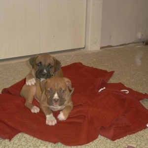 Maggie and Logan's first picture