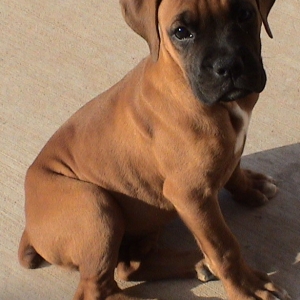 i can sit
