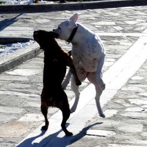 Avra and her friend Gilda dancing