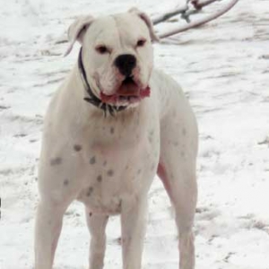 She loves snow!