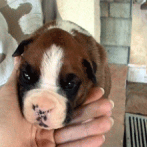 he'e only 3! (weeks!!!)