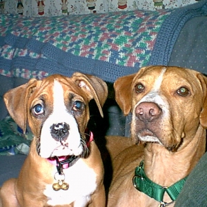 Beau & Gracie