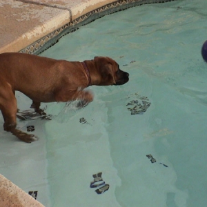 got to save my ball