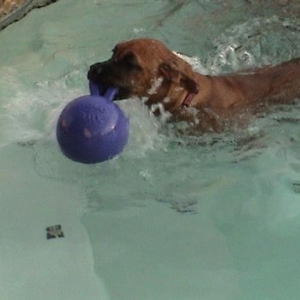 i saved my ball