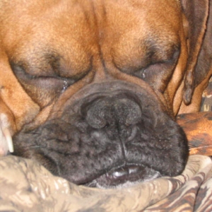 zzzzzzzzzz