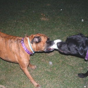 night time playing