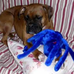Nessa and her new toy