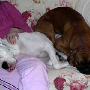 A typical night in front of the TV