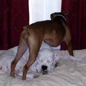 Nessa trying to dominate Finn while he sleeps - its the only time she can :