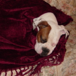 All Comfy