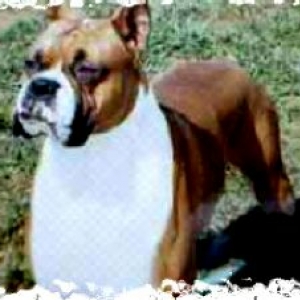 my nane is  georgous George
