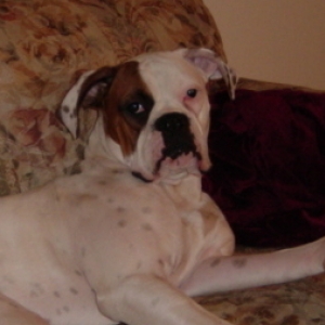 MY Couch!