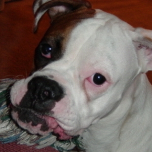 Are U Gunna Play Wif Me?