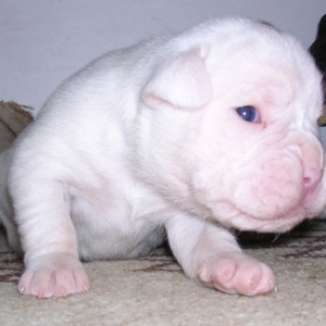 Am I cute or what ???