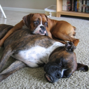 awwww.