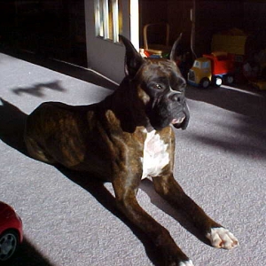 Catching some rays!