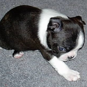 I'm one month old