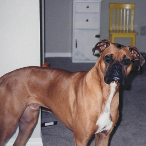 Max at 2 years